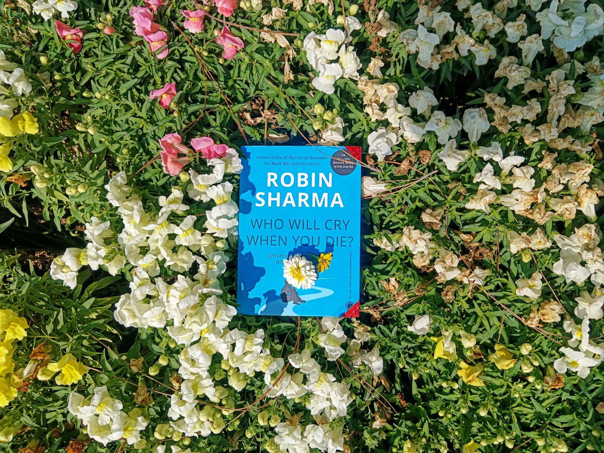 Robin-sharma